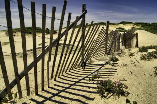 Voyage sur-mesure, Cape Cod